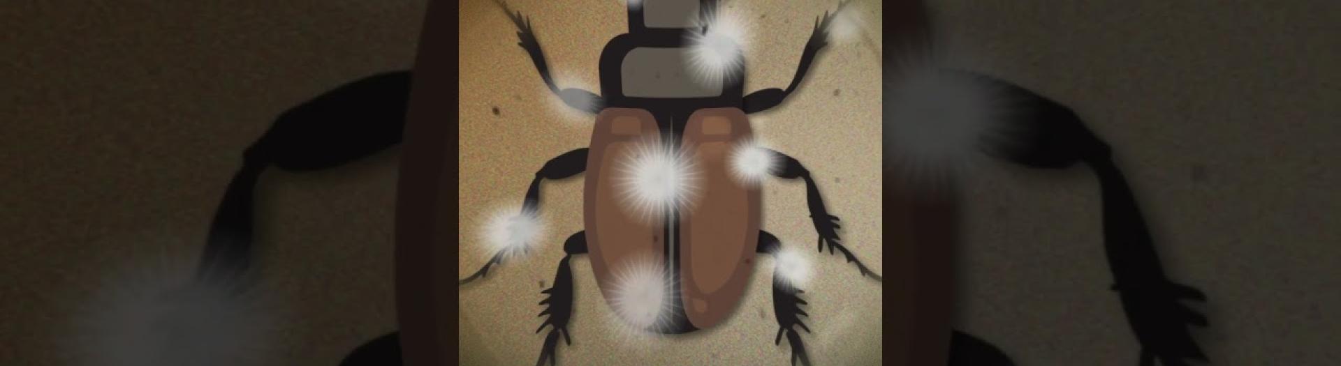 Embedded thumbnail for Hongos entomopatógenos para el control de plagas | IMAGO